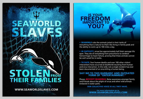SeaWorld Slaves Leaflets (100 pack)