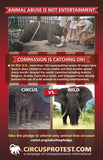Circus Protest leaflet (includes elephants)
