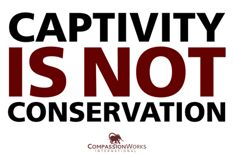Captivity Is Not Conservation Protest Poster