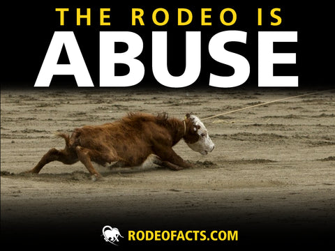 ABUSE Rodeo Protest Poster