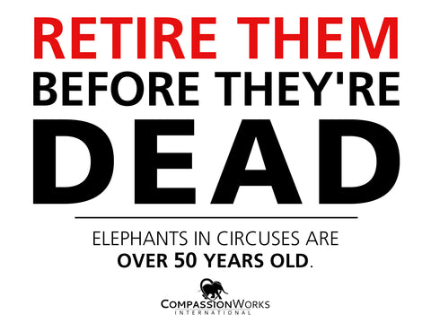 Retire them before they're dead  Protest Poster