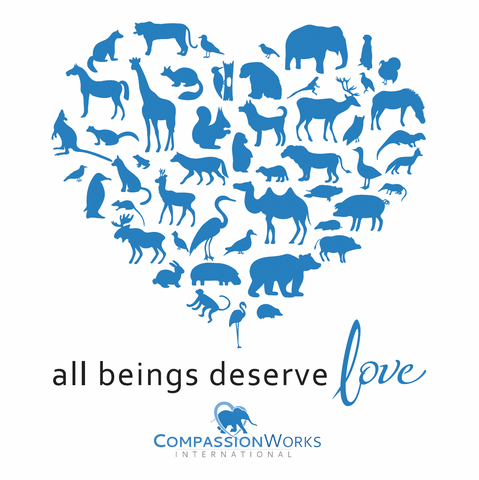 4x4 "All beings deserve love" square sticker