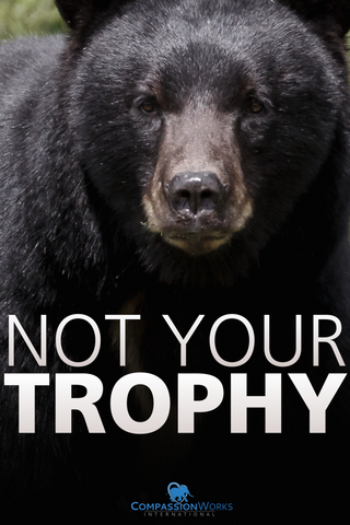Not Your Trophy Bear Hunt Protest Poster