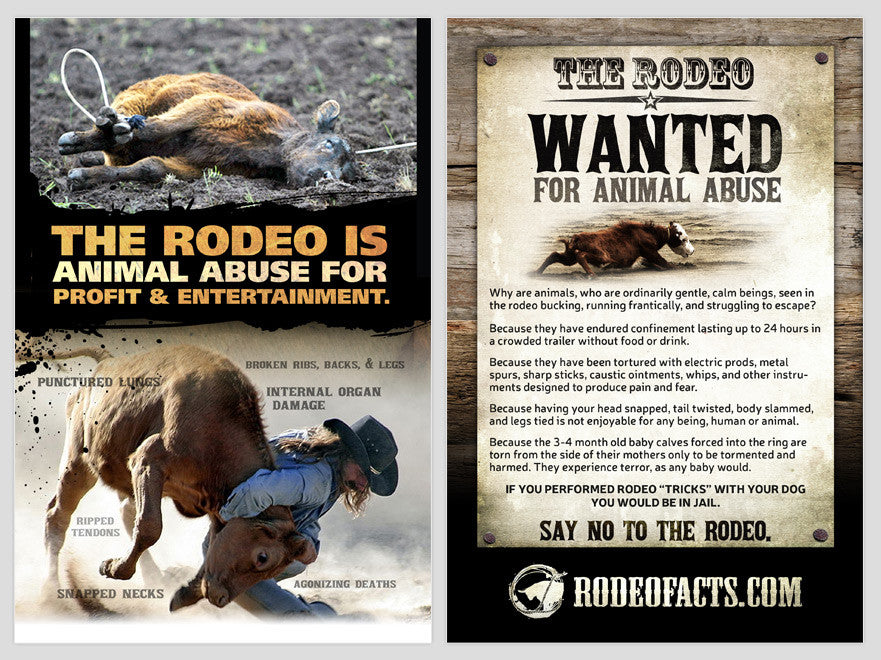 Anti-Rodeo Leaflets (100 pack) – CompassionWorks International