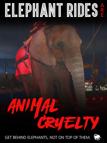 Elephant Rides are Animal Cruelty Protest Poster