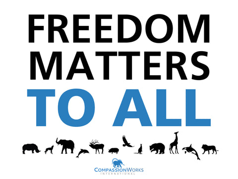 Freedom Matters Protest Poster