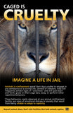 Anti Captivity leaflet