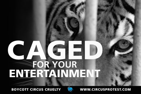 Caged For Your Entertainment protest poster