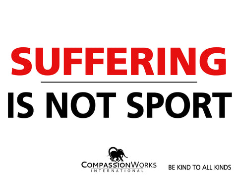 Suffering Is Not Sport