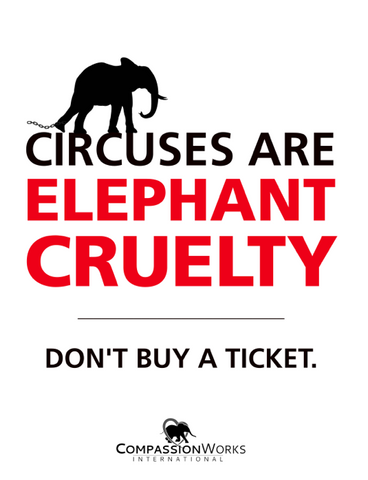 Circuses are Elephant Cruelty Protest Poster