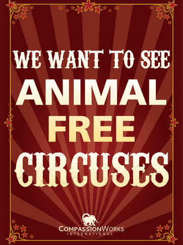 We Want to See Animal Free Circuses Protest Poster