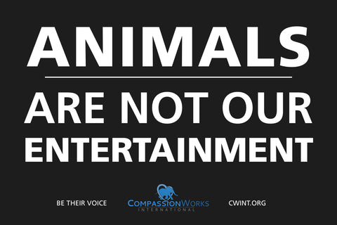 Animals Are Not Our Entertainment protest poster