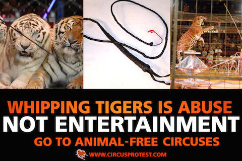 Whipping Tigers is Abuse protest poster
